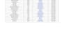 do accurate data entry, excel data entry and web research